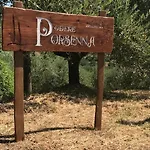 Porsenna キウージ
